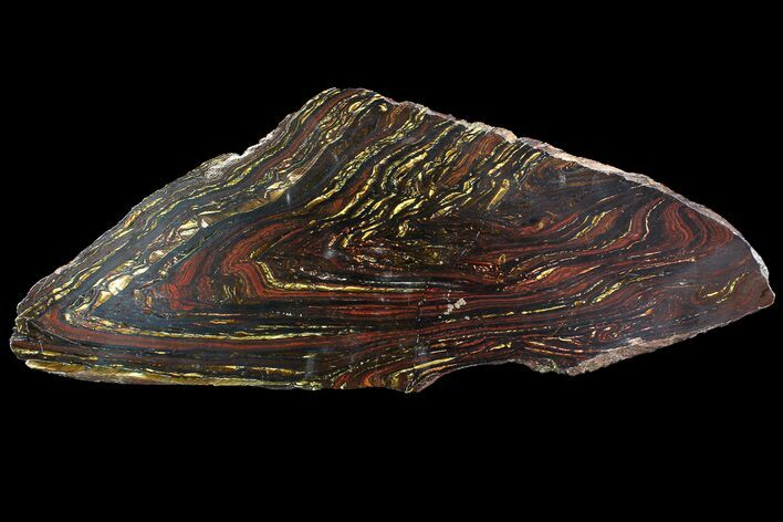 Polished Tiger Iron Stromatolite - ( Billion Years) #92956